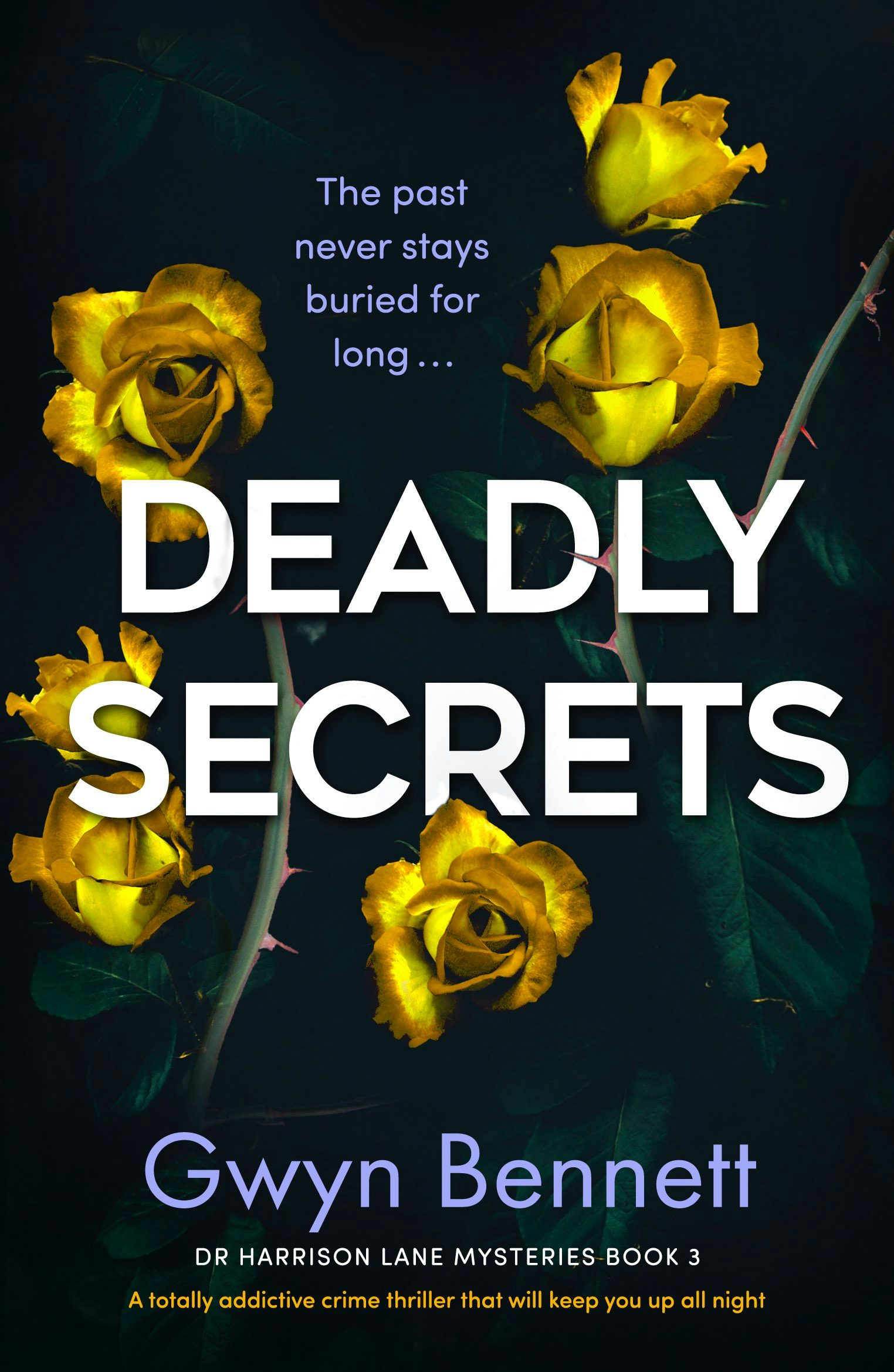 Book cover image for Deadly Secrets ISBN: 9781805080084